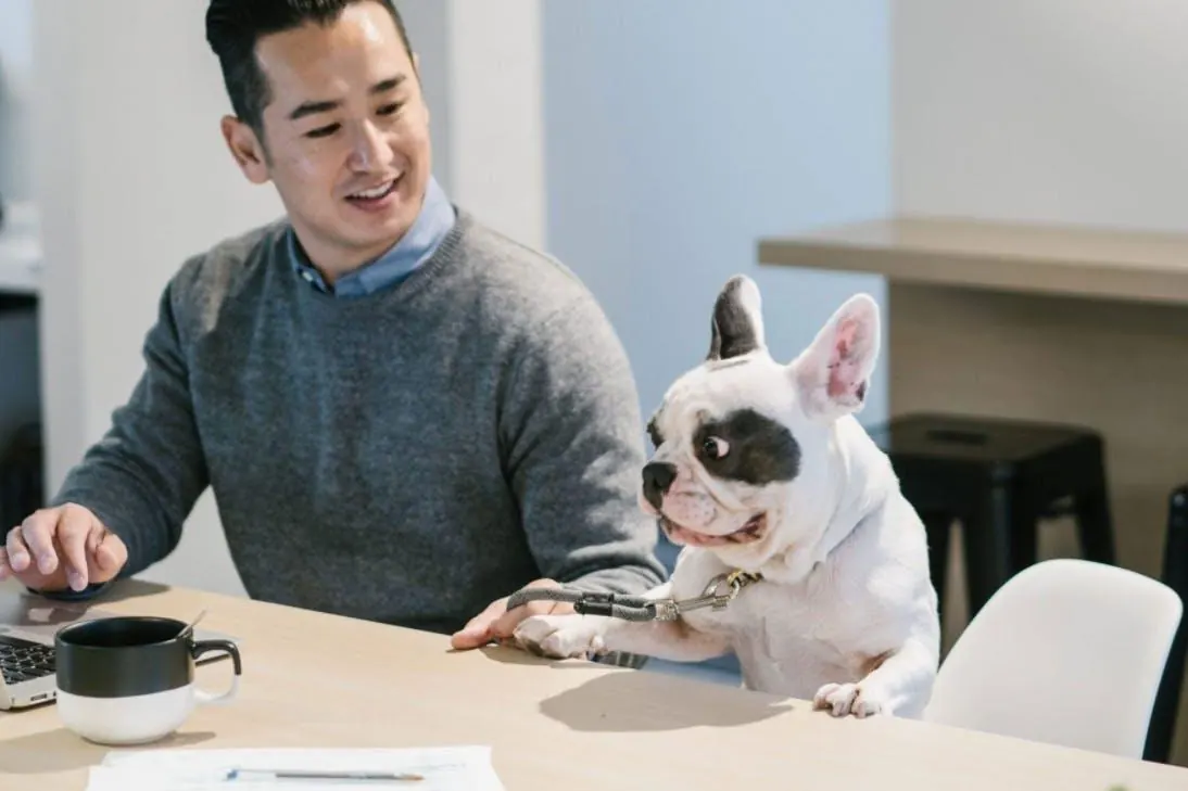 An Oakwyn agent working at home with his French bulldog