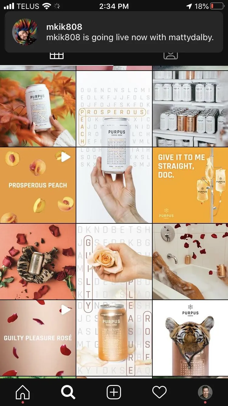 The Purpus Instagram feed