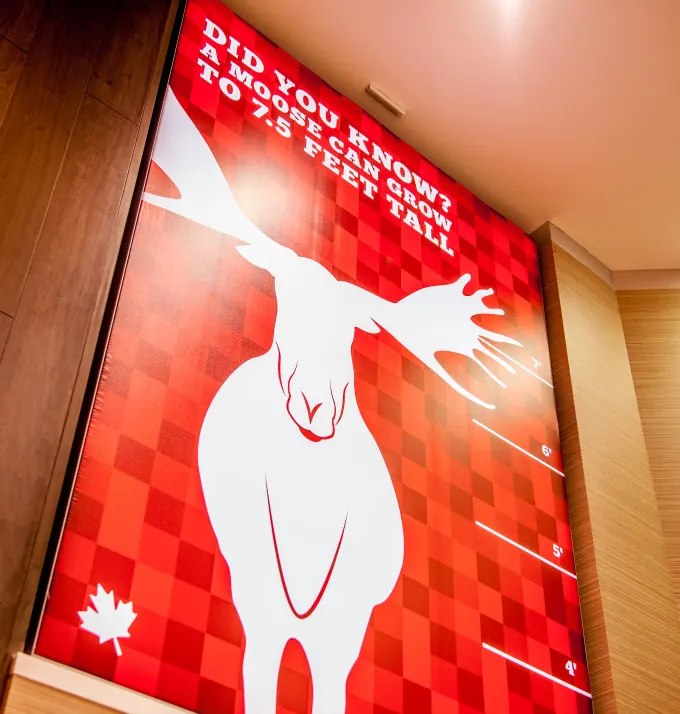 Red moose wall graphic in the store